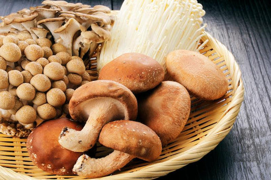 Comment cuisiner avec des champignons ! - MYCELAB
