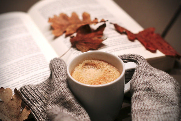 Comment affronter l'hiver en toute sérénité ? - MYCELAB