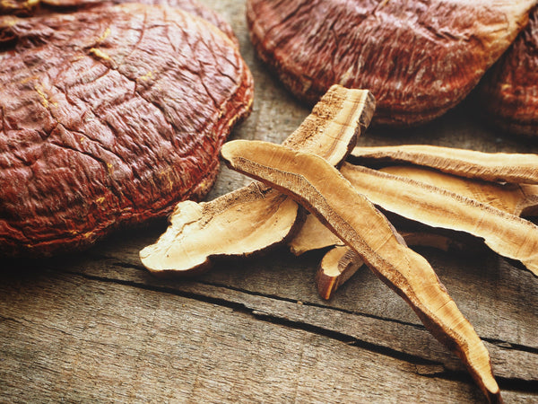 blog-reishi