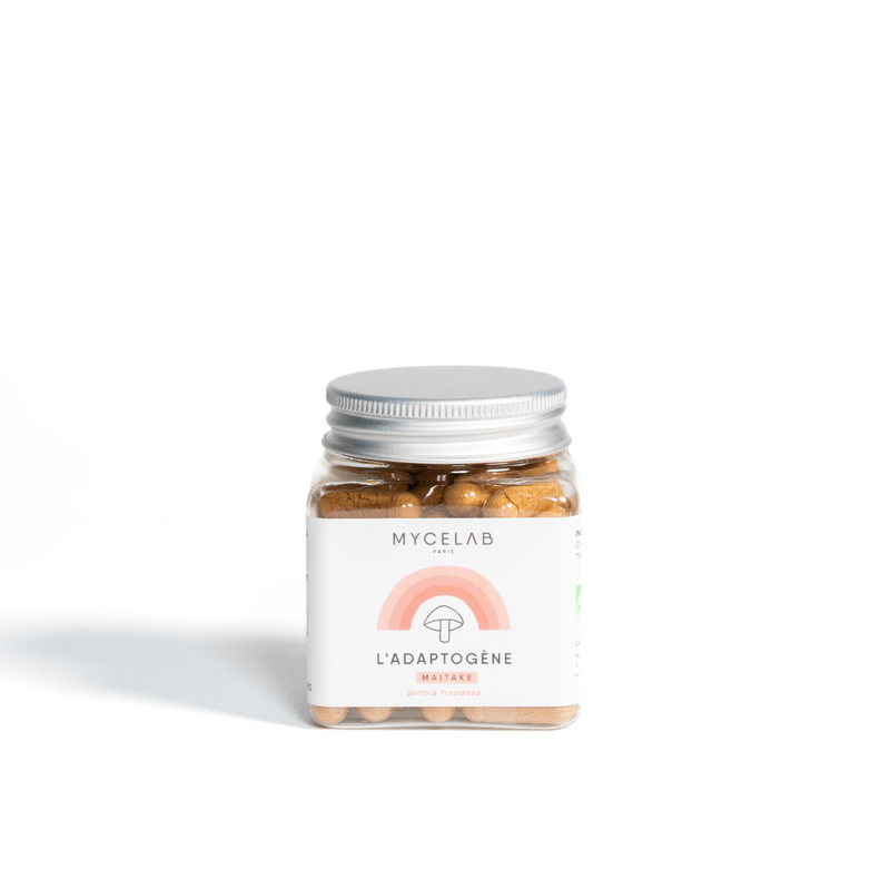 adaptogene-mycelab-maitake